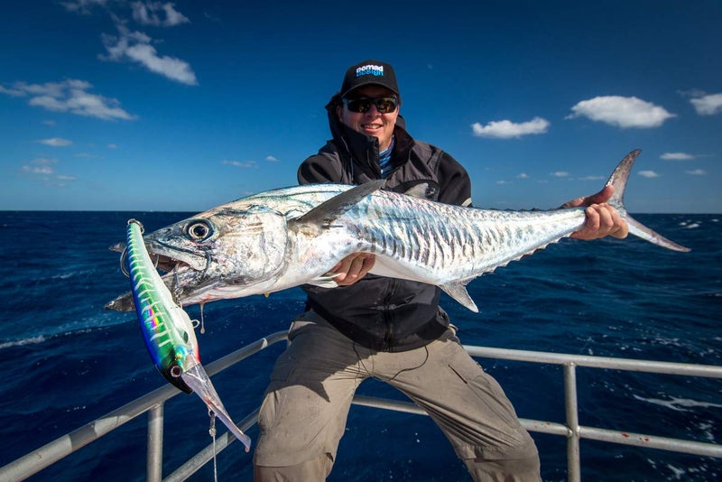 nomad design Nomad DTX Minnow Sinking - 165mm - 90g - Pink Mackerel - Image 2